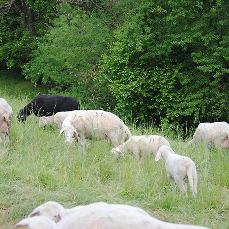 Landgasthof Seyrlberg Reichenau im Mühlkreis المظهر الخارجي الصورة