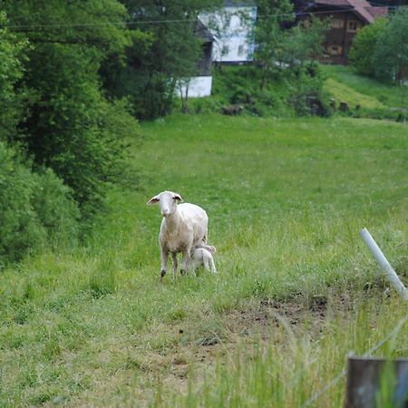Landgasthof Seyrlberg Reichenau im Mühlkreis المظهر الخارجي الصورة