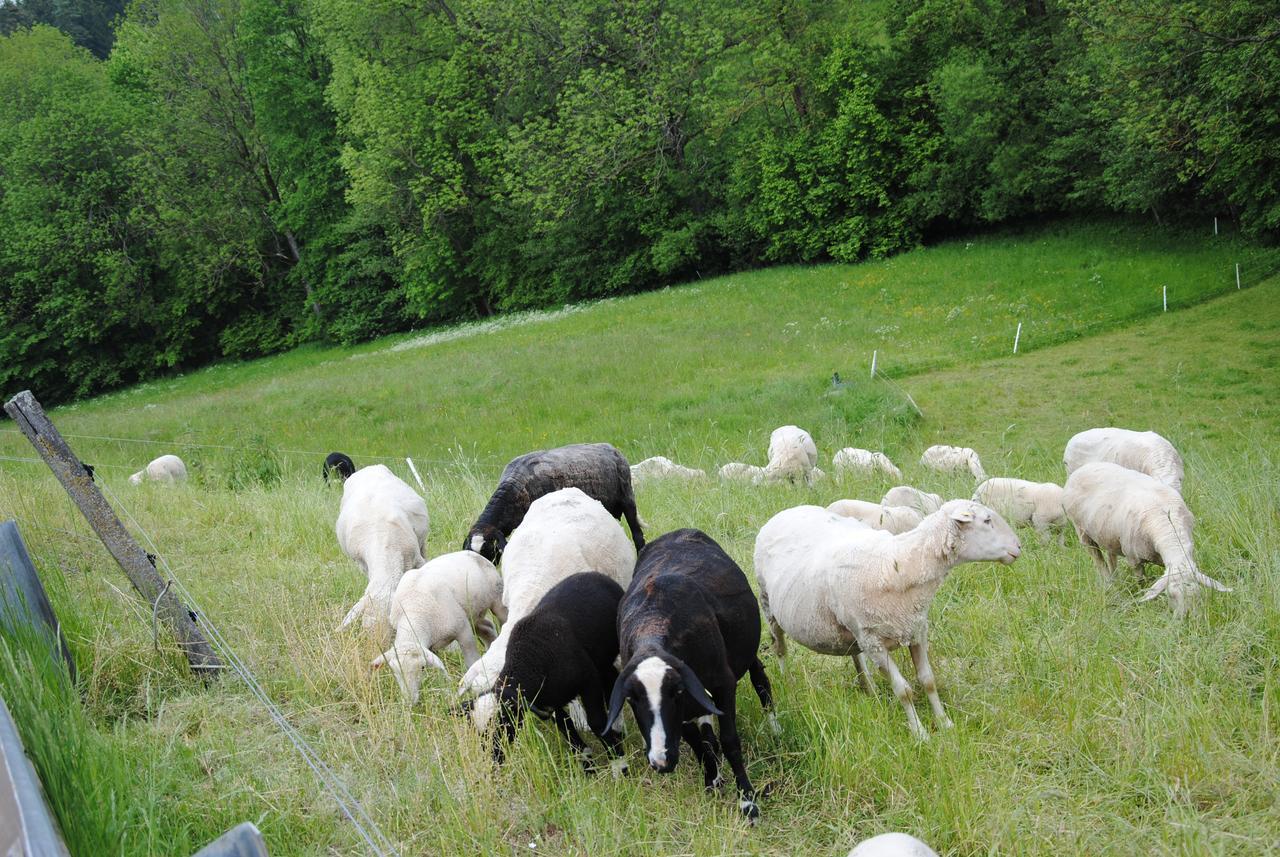 Landgasthof Seyrlberg Reichenau im Mühlkreis المظهر الخارجي الصورة